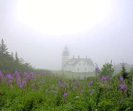Zeelighthouse