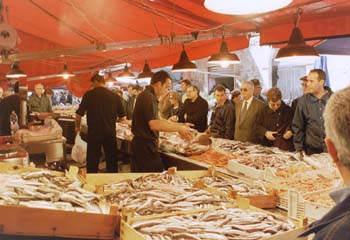 40market