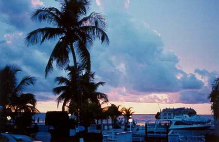keypalmboom