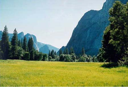 yosemitegeel