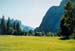 yosemitegeel